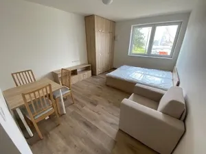 Pronájem bytu 1+kk, Jihlava, Okružní, 35 m2