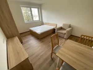 Pronájem bytu 1+kk, Jihlava, Okružní, 35 m2