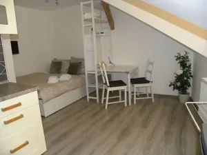 Pronájem bytu 1+kk, Jihlava, Lazebnická, 28 m2