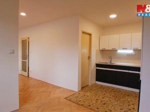 Pronájem bytu 2+kk, Praha - Podolí, Dvorecká, 47 m2
