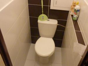 Pronájem bytu 1+1, Ostrava - Hrabůvka, Horní, 45 m2