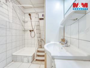 Prodej bytu 1+kk, Plzeň - Jižní Předměstí, Tylova, 34 m2