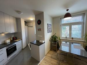 Pronájem bytu 2+kk, Praha - Podolí, Levá, 42 m2