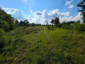 Prodej pozemku pro bydlení, Krušovice, 2750 m2