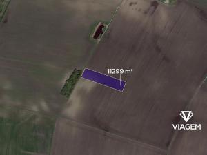 Prodej podílu pole, Záhornice, 403 m2