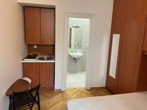 Pronájem bytu 1+kk, Praha - Staré Město, Masná, 19 m2