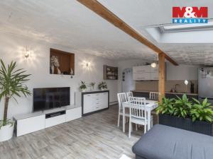 Prodej rodinného domu, Ostrava - Třebovice, Krameriova, 757 m2