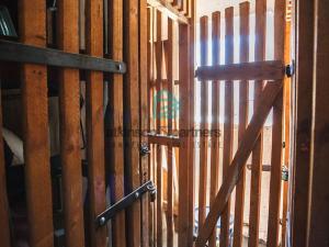 Pronájem bytu 2+1, České Budějovice - České Budějovice 6, Čechova, 58 m2