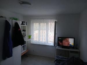 Pronájem bytu 1+kk, Luhačovice, 23 m2