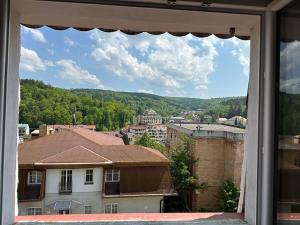 Pronájem bytu 1+kk, Luhačovice, 23 m2