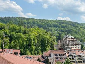 Pronájem bytu 1+kk, Luhačovice, 23 m2