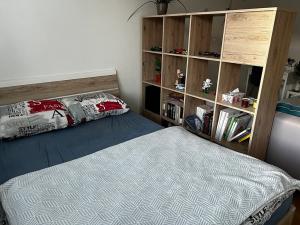Pronájem bytu 1+1, Zlín, Santražiny, 35 m2