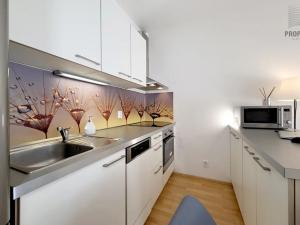 Pronájem bytu 1+kk, Brno, Hvozdecká, 38 m2