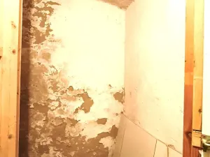 Pronájem bytu 1+kk, Praha - Nové Město, Na bojišti, 27 m2