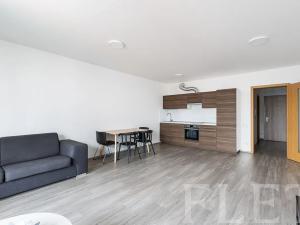 Pronájem bytu 1+kk, Praha - Žižkov, Olgy Havlové, 48 m2