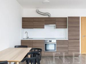 Pronájem bytu 1+kk, Praha - Žižkov, Olgy Havlové, 48 m2