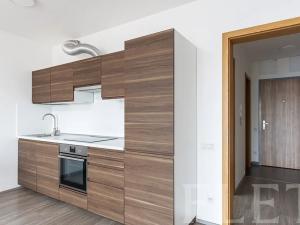 Pronájem bytu 1+kk, Praha - Žižkov, Olgy Havlové, 48 m2