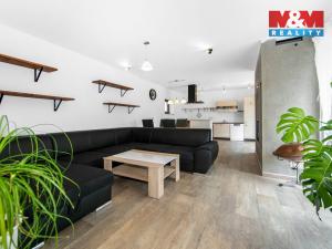 Prodej rodinného domu, Zruč-Senec - Zruč, 220 m2