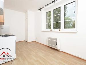 Pronájem bytu 1+1, Ostrava, Newtonova, 41 m2