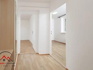 Pronájem bytu 1+1, Ostrava, Newtonova, 41 m2