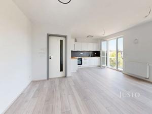 Pronájem bytu 2+kk, České Budějovice, Ant. Janouška, 47 m2