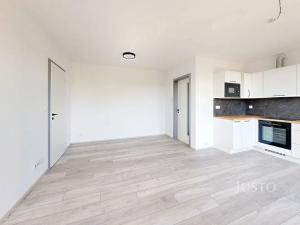 Pronájem bytu 2+kk, České Budějovice, Ant. Janouška, 47 m2