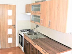 Pronájem bytu 1+1, České Budějovice, Plzeňská, 47 m2