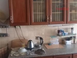 Prodej obchodního prostoru, Jihlava, Palackého, 490 m2