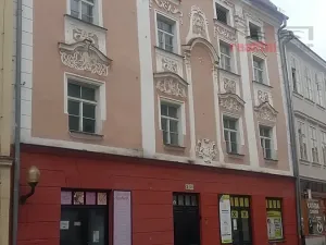 Prodej obchodního prostoru, Jihlava, Palackého, 490 m2