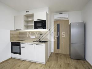 Pronájem bytu 1+kk, Praha - Žižkov, Tetauerova, 30 m2