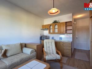 Prodej bytu 1+kk, Hranice, U pošty, 19 m2