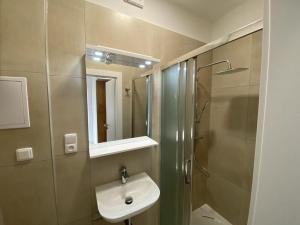 Pronájem bytu 2+kk, Brno - Staré Brno, Nové sady, 48 m2