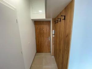 Pronájem bytu 2+kk, Brno - Staré Brno, Nové sady, 48 m2