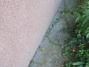 Dražba bytu 3+1, Žatec, Dr. Václava Kůrky, 68 m2
