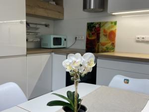 Prodej bytu 3+kk, Olomouc - Nedvězí, Jilemnického, 72 m2
