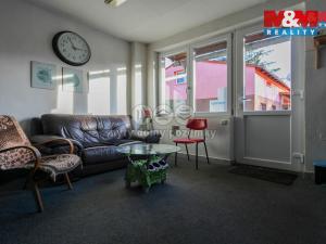 Prodej obchodního prostoru, Jeseník, Lipovská, 592 m2