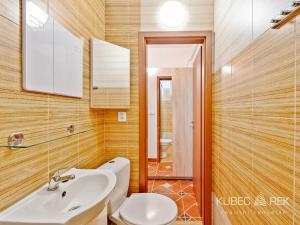 Prodej bytu 1+1, Nová Včelnice, Na Hliněnce, 43 m2