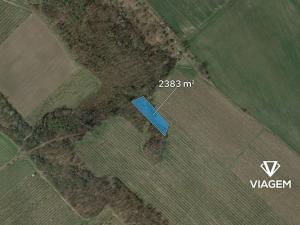 Prodej podílu lesa, Semtěš, 1191 m2