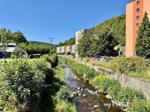 Pronájem bytu 1+1, Nejdek, Rolavská, 35 m2