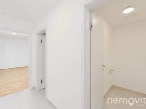 Pronájem bytu 2+kk, Praha - Nusle, Muzikova, 61 m2