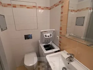 Pronájem bytu 1+kk, Praha - Vysočany, Freyova, 33 m2