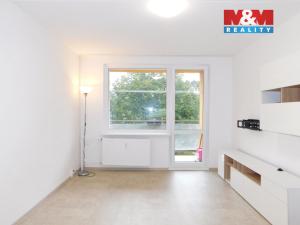 Pronájem bytu 2+1, Cheb, Do Zátiší, 62 m2
