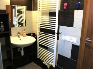 Pronájem bytu, Hvozdná, Sokolská, 21 m2