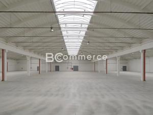 Pronájem skladu, Holubice, 1124 m2