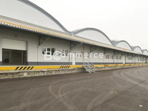 Pronájem skladu, Holubice, 1124 m2