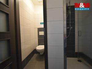 Pronájem bytu 4+1, Žamberk, Zemědělská, 100 m2