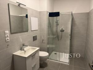 Pronájem bytu 1+1, Písek, Vladislavova, 38 m2