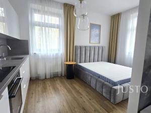 Pronájem bytu 1+1, Písek, Vladislavova, 38 m2