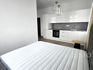 Pronájem bytu 1+1, Písek, Vladislavova, 38 m2