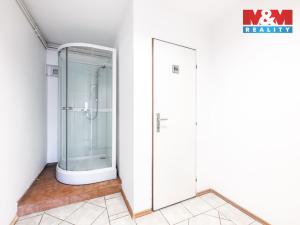 Prodej obchodního prostoru, Velká nad Veličkou, 187 m2